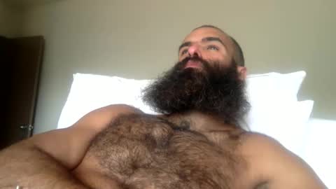 woof_wolf37 online show from 04.16.26