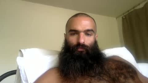 woof_wolf37 online show from 04.19.26