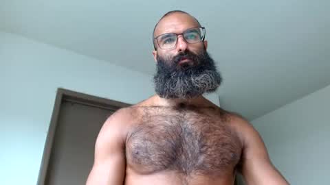 Snapshot of woof_wolf37 chatting on 06.23.26 woof_wolf37 online show from 06.23.26