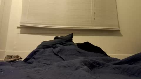 Tslexislut online show from 04.17.26