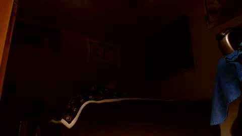 wvuguy1986 online show from 03.08.26