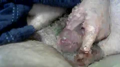 Snapshot of wxherts chatting on 03.11.25 Charles online show from 03.11.25