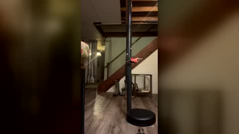 Snapshot of wyattmcc32288 chatting on 03.02.26 wyattmcc32288 online show from 03.02.26