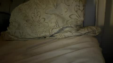 Mariah  online show from 11.29.25