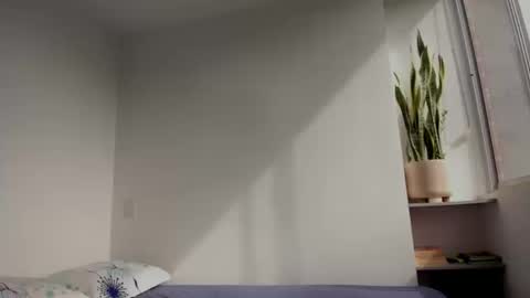 Xavier online show from 09.11.25