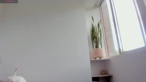 Xavier online show from 01.18.26