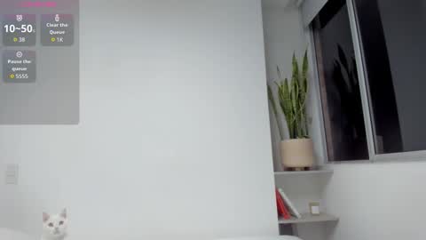 Xavier online show from 03.19.26