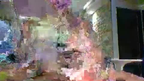 xavii31 online show from 03.11.26