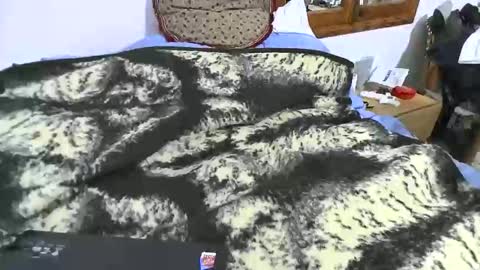 xaxi3 online show from 01.10.26