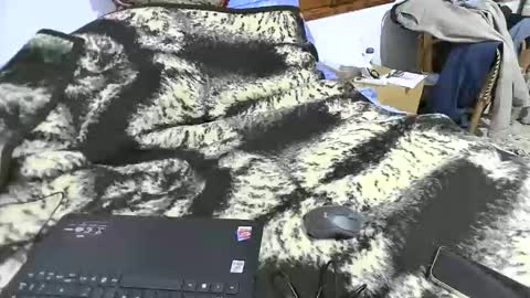 xaxi3 online show from 03.15.26