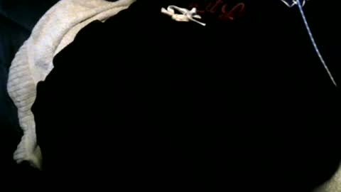 Toke online show from 12.12.24