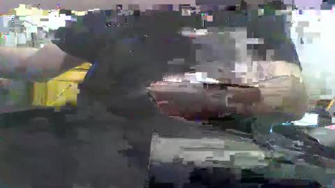 xfaiynx2 online show from 05.01.26