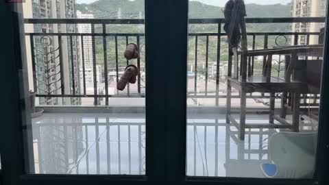 xinbao799322 online show from 07.09.26
