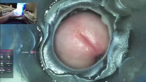 Snapshot of xoxowtf chatting on 12.07.24 xoxowtf online show from 12.07.24