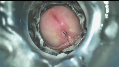 Snapshot of xoxowtf chatting on 12.16.24 xoxowtf online show from 12.16.24