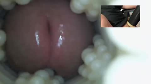 Snapshot of xoxowtf chatting on 12.21.25 xoxowtf online show from 12.21.25