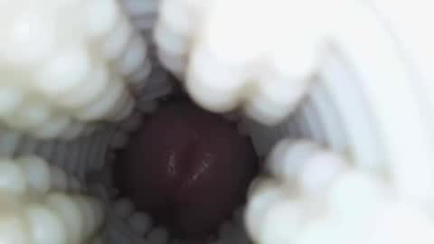 Snapshot of xoxowtf chatting on 01.09.26 xoxowtf online show from 01.09.26