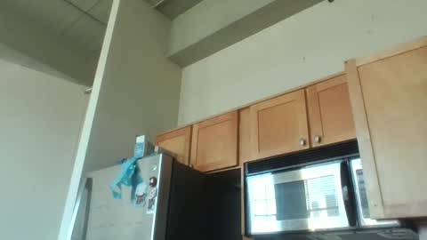 Snapshot of xxxdanidoomsdayxxx chatting on 12.03.25 Danielle online show from 12.03.25