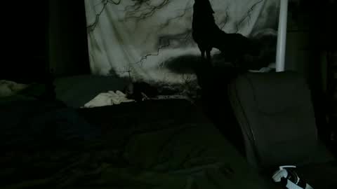 Snapshot of xxxjrstrokesxxx chatting on 01.25.25 xxxjrstrokesxxx online show from 01.25.25