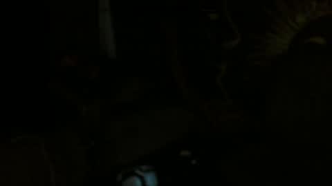 Snapshot of xxxjrstrokesxxx chatting on 02.11.25 xxxjrstrokesxxx online show from 02.11.25