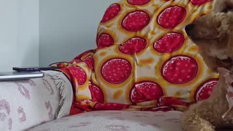 Snapshot of xxxtonymxxx chatting on 01.26.25 TonyDoesMiami online show from 01.26.25