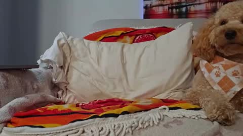 Snapshot of xxxtonymxxx chatting on 01.28.25 TonyDoesMiami online show from 01.28.25