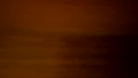 yacht3oy online show from 12.03.24