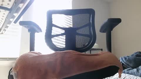 Snapshot of yahbuddy chatting on 10.03.25 yahbuddy online show from 10.03.25