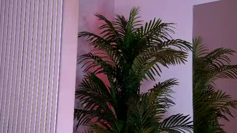 Yasmina  online show from 06.15.26