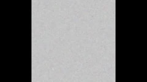 .     y e l l o w s n a k e s       . online show from 02.02.26