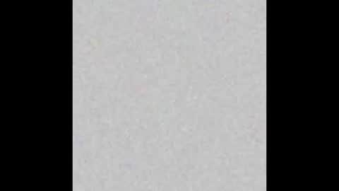 .     y e l l o w s n a k e s       . online show from 02.05.26