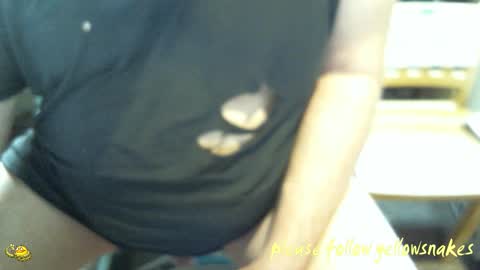 .     y e l l o w s n a k e s       . online show from 02.08.26