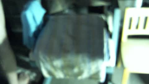 .     y e l l o w s n a k e s       . online show from 02.19.26