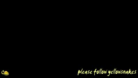 .     y e l l o w s n a k e s       . online show from 04.12.26