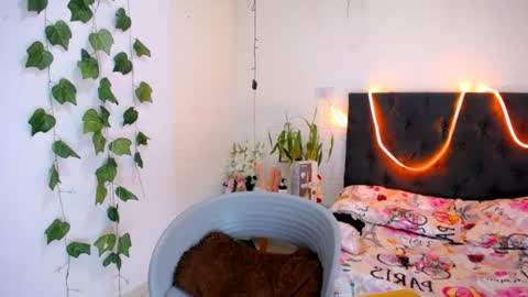 YEM online show from 06.11.26