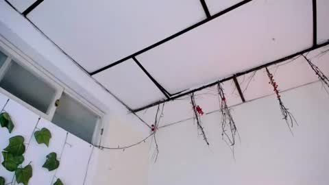 YEM online show from 07.29.26