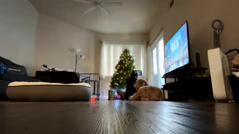 Palmela Handerson online show from 12.18.24