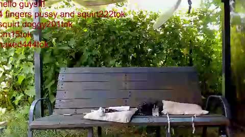 private on 18 per minute start private 500 tokensOnlyfans  online show from 07.05.26