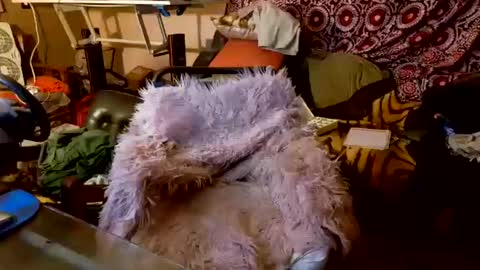 Snapshot of your_dog chatting on 10.20.25 Taylor Tash online show from 10.20.25