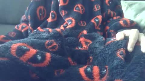 Youraccord online show from 04.02.26