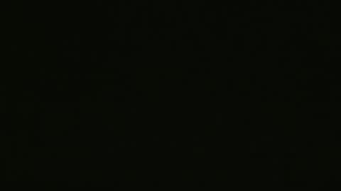 Snapshot of yourpersonalgeniusl chatting on 12.25.24 yourpersonalgeniusl online show from 12.25.24