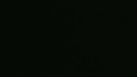 Snapshot of yourpersonalgeniusl chatting on 12.27.24 yourpersonalgeniusl online show from 12.27.24