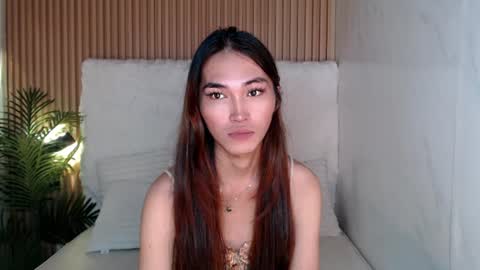    online show from 07.14.26