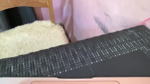 yourspecialgirl_rhea online show from 04.11.26