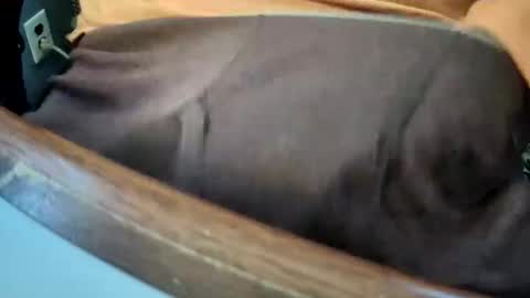 yuppers1234 online show from 12.19.25