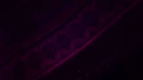 Z0RL0C online show from 02.14.26