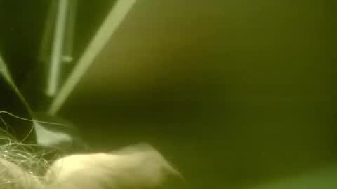 zaboski4 online show from 03.07.26