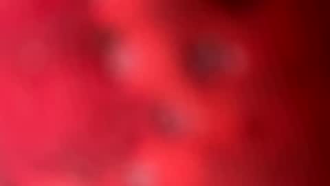 zachslime472 online show from 03.13.26