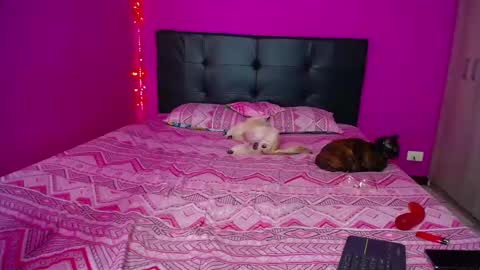 ZARA ANYELINA online show from 12.14.24