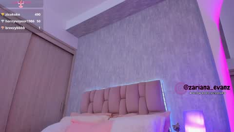 Snapshot of zarianaevanz chatting on 12.31.24 Zariana online show from 12.31.24